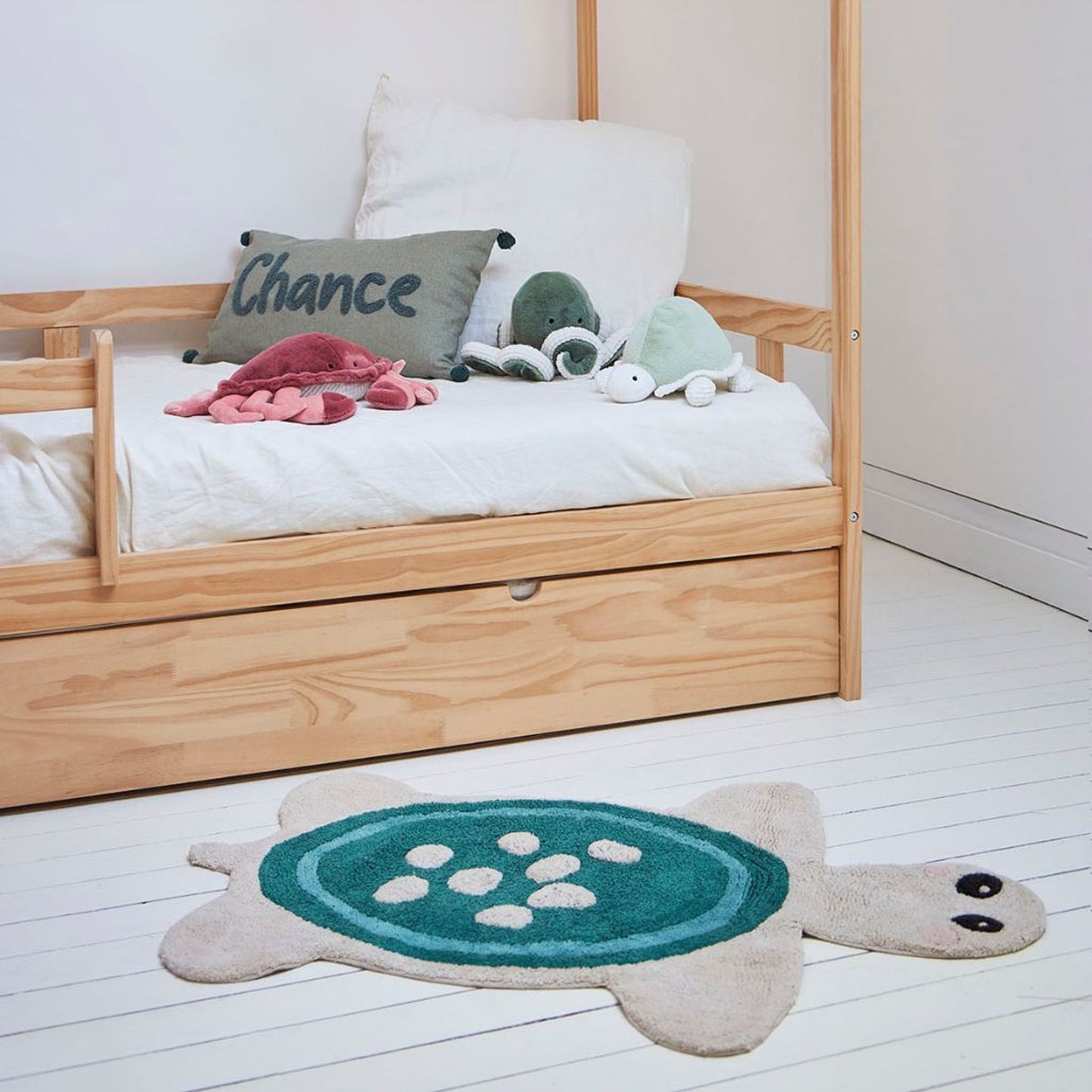 TURTLE RUG